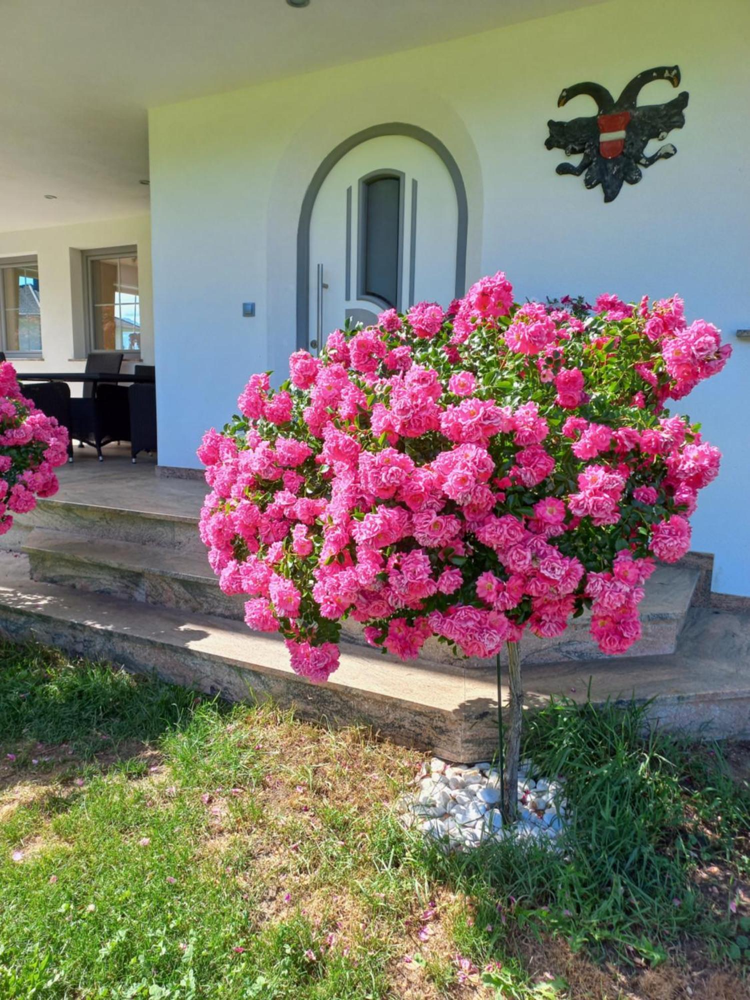 Gaestehaus Weber Oberperfuss Exteriör bild